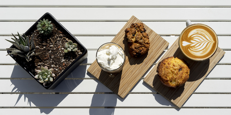 Daisy Ducati Loves Coffee, 15 San Francisco Coffee Houses You Need To Visit