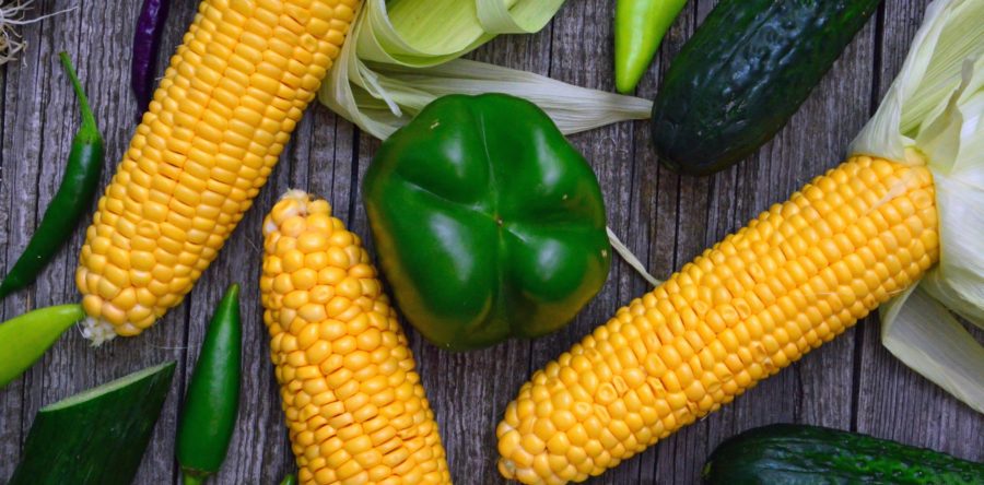 San Francisco Mayor Launches the 2017 Chengdu Food And Culture Festival