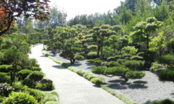 Lake Merced, One Of San Francisco’s Hidden Retreats