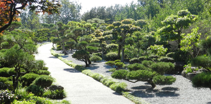 Lake Merced, One Of San Francisco’s Hidden Retreats