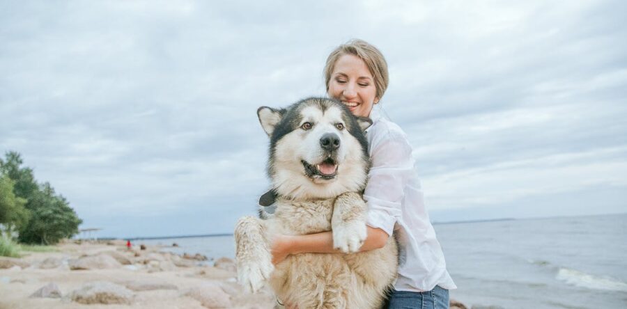 Rachael Ray® Nutrish® Announces Big Life Recipe Dog Food