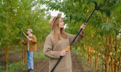 Permaculture, The Perfect Farming Solution