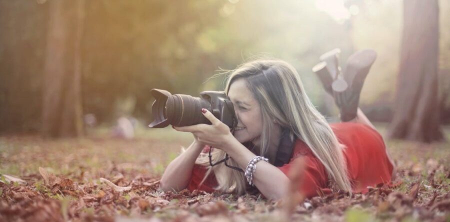 California Coastal Redwoods, Majestic, Spiritual, Magical