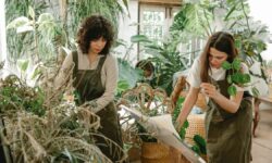 Greenhouses, A Healthy Form Of Food Production