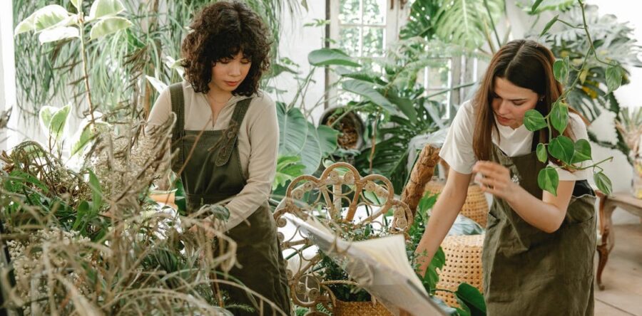 Greenhouses, A Healthy Form Of Food Production