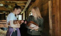 Bird Lovers, National Audubon Society Announces Dr. Elizabeth Gray as CEO