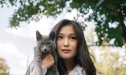 How to Save Money on Vet Bills and other Pet-Care Costs