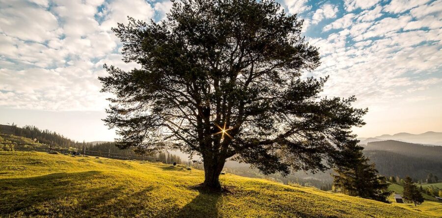 Outstanding, Menlo College Oaks Women’s Wrestling Program Continues To Thrive